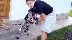 Viață de câine olimpic