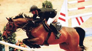 Un cal mai scump ca Dică!