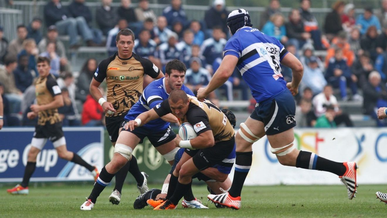 Dascălu va rata meciurile „stejarilor" din noiembrie