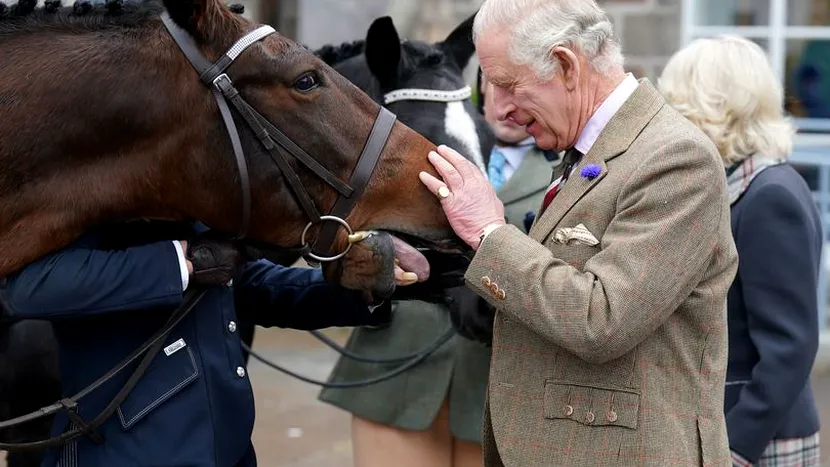 Regele Charles scoate la vânzare 12 dintre cei mai apreciați cai de curse ai Reginei