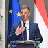 Guvernul Ungariei a „tăiat” două milioane de euro care veneau în România și au apărut deja problemele: „E cel mai greu”