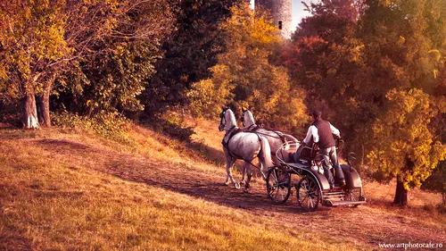 Karpatia Horse Trials a pus Domeniul Cantacuzino Florești pe harta celor mai importante evenimente ecvestre