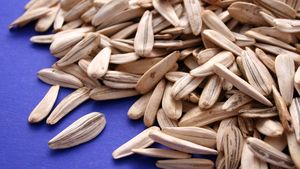 Decizie bizară în Spania! O echipă din La Liga interzice consumul de semințe pe stadion, „pentru a asigura sănătatea în tribune”