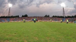 SOS!** S-a ars gazonul din Ghencea!