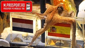 Caracatița Paul are origini italiene!** Primul cefalopod ce va avea certificat de naștere