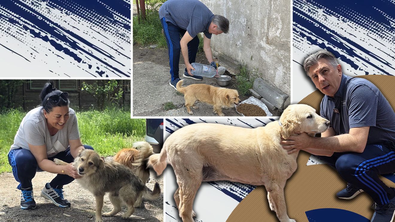 Haita lui Lupescu: reportaj la ferma din Snagov unde dinamovistul și soția hrănesc și îngrijesc zilnic peste 20 de câini. „Adoptați! Animalele nu-și aleg capul haitei un idiot”
