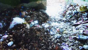 Fabrica de campioni de la Brăila, în paragină! Vezi imagini șocante!