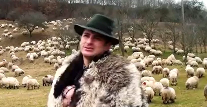 Povestea ciobanului modern. Ștefan se ocupă de sute de oi și este student la două facultăți