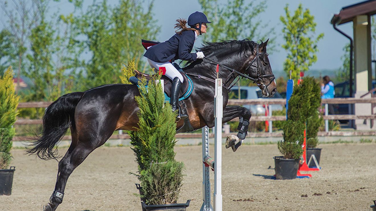 Startul pentru a doua etapă a Circuitului Salonul Calului se dă la Equestria, pe 5 iunie. Vezi programul competiței