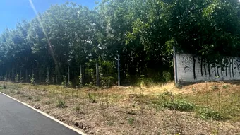De peste un an, autoritățile nu pot să facă o bază de antrenament pentru Știința Poli. Ping-pong administrativ de nedescris și secretomanie ca în vremurile de tristă amintire