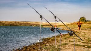 EXCLUSIV VIDEO | Tricolorii de pe baltă dezvăluie povești inedite de la pescuit: "Am căzut cu mașina în lac, apoi mi-am făcut un selfie". Fascinanta viață a componenților echipei României 