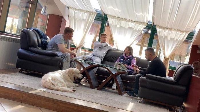 Viktor Tsygankov, cel mai scump fotbalist din lotul lui Dinamo Kiev, e deja la București! A venit cu toată familia, dar și cu cățelul său | VIDEO EXCLUSIV