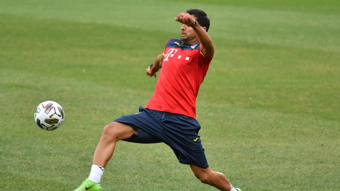 Nicolae Dică, replică pentru Dan Petrescu după ce antrenorul i-a criticat pe jucătorii naționalei României. „Eu atât îi spun!”