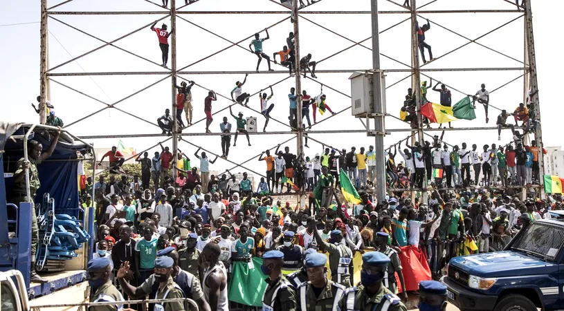 Sărbătoare în Senegal! Zeci de mii de fani au venit la aeroport să-și aplaude favoriții după câștigarea Cupei Africii. Imaginile unice, pe care nu le vezi în Europa | FOTO