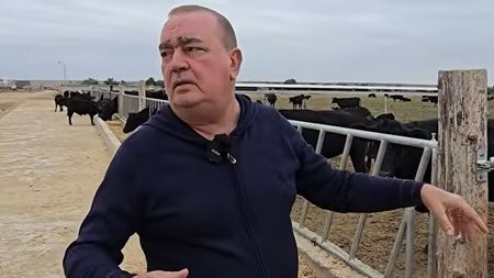 EXTRA Gigi Nețoiu a luat pușca în mână și a ucis 20 de coioți: „Îi mâncau vițeii abia născuți!”