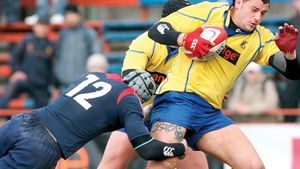 "Stejari" în creion! Tricolorii au apărut într-un calendar 2011!