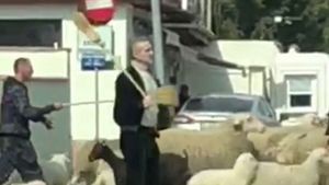 Meciul FCSB - Poli Iași, amânat din cauza lui Gigi Becali, "finanțatorul care și-a scos oile la păscut" | Glumă "nesărată" de 1 Aprilie