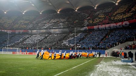 Mihai Neșu a mai primit un super-cadou din țară:** un tablou făcut din peste 40 de mii de semințe! Vezi cum arată opera