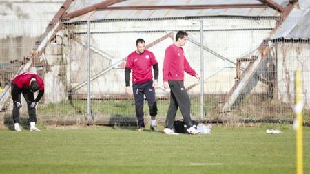 Ema, psihologul lui Curcă!