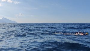 Un înotător român şi întâlnirea care i-a marcat viața: "Ce am văzut în apă în dreptul Muntelui Athos... Era fosforescent"