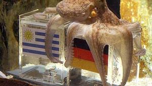 Olandezii, în pragul disperării!:) "Oracolul" a ghicit și câștigătoarea finalei mici! Vezi cum își fac curaj batavii!