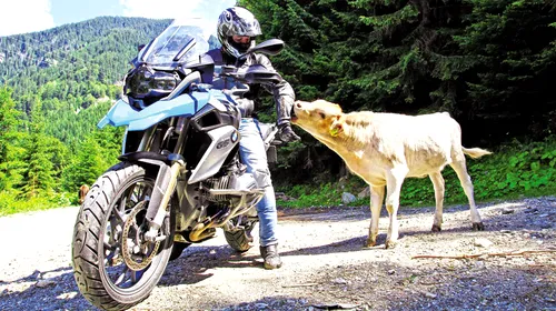 Long Live the Queen! BMW R 1200 GS e regina clasei enduro-touring în moto