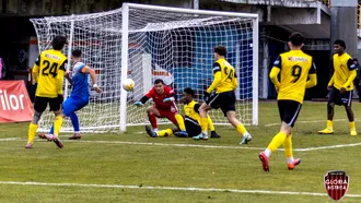 Ceahlăul a debutat cu o înfrângere în noul an, 0-2 la Bistrița, și începe să aibă emoții la retrogradare. Concluziile antrenorului Valentin Avădanei și președintelui Angelo Alistar