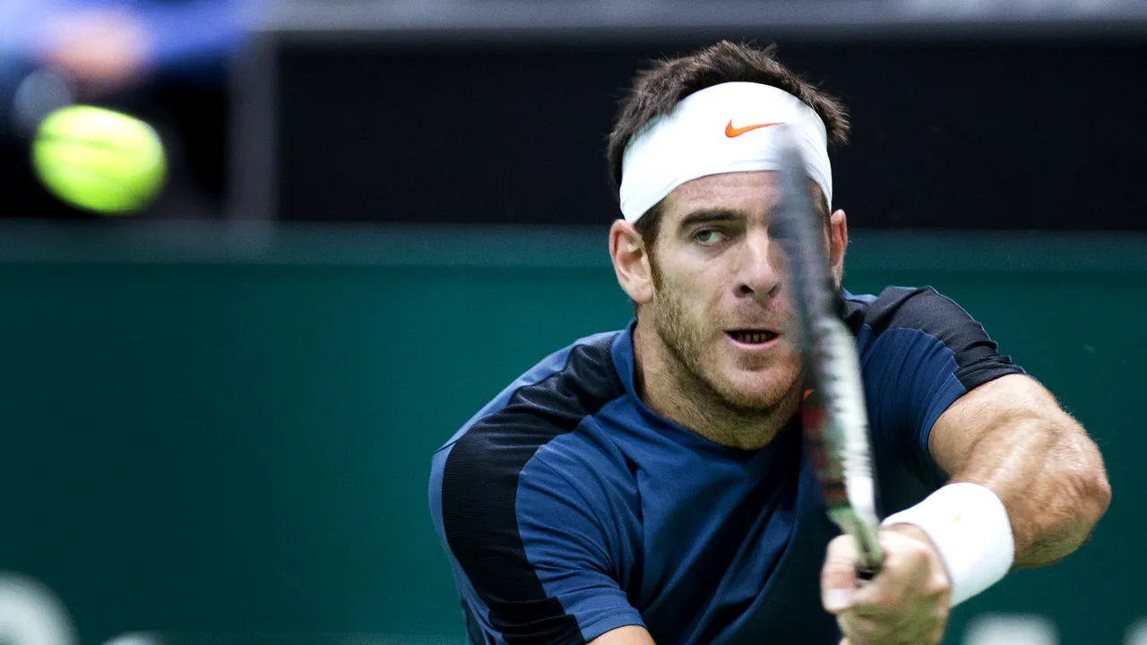 Del Potro a câștigat turneul de la Rotterdam