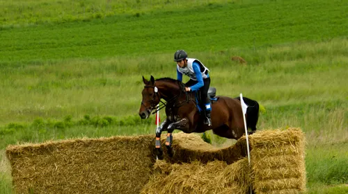 Transylvania Horse Show, demonstrație de echitație cu exemplare de până la 300.000 de euro și premiul cel mare de 1.000 de euro