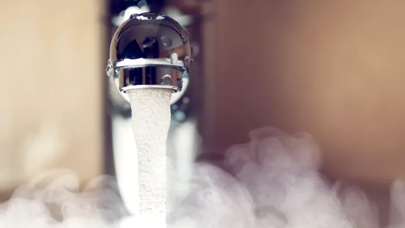 O elevă de 12 ani moare după ce a inhalat aburi de duș, în urma unei reacții extrem de rare