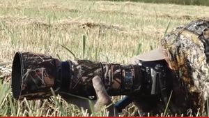 Canotorul Sergiu Bejan se costumează în culorile copacilor pentru a realiza fotografii inedite „Un șacal m-a simțit de la o distanță foarte mare” | VIDEO EXCLUSIV DRUMUL SPRE PARIS