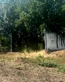 De peste un an, autoritățile nu pot să facă o bază de antrenament pentru Știința Poli. Ping-pong administrativ de nedescris și secretomanie ca în vremurile de tristă amintire