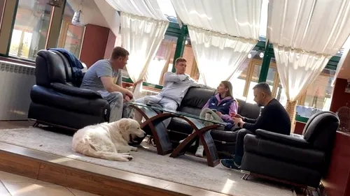 Viktor Tsygankov, cel mai scump fotbalist din lotul lui Dinamo Kiev, e deja la București! A venit cu toată familia, dar și cu cățelul său | VIDEO EXCLUSIV