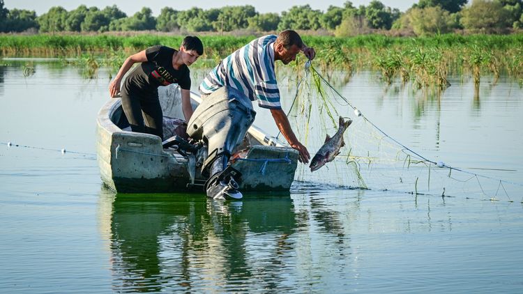 Ce se întâmplă cu pescuitul din România. Legea care schimbă totul: „Va aduce 1 la sută din PIB”
