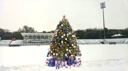 IMAGINEA ZILEI vine de pe un stadion din Liga 1. Bradul de Crăciun a ajuns în mijlocul terenului :)