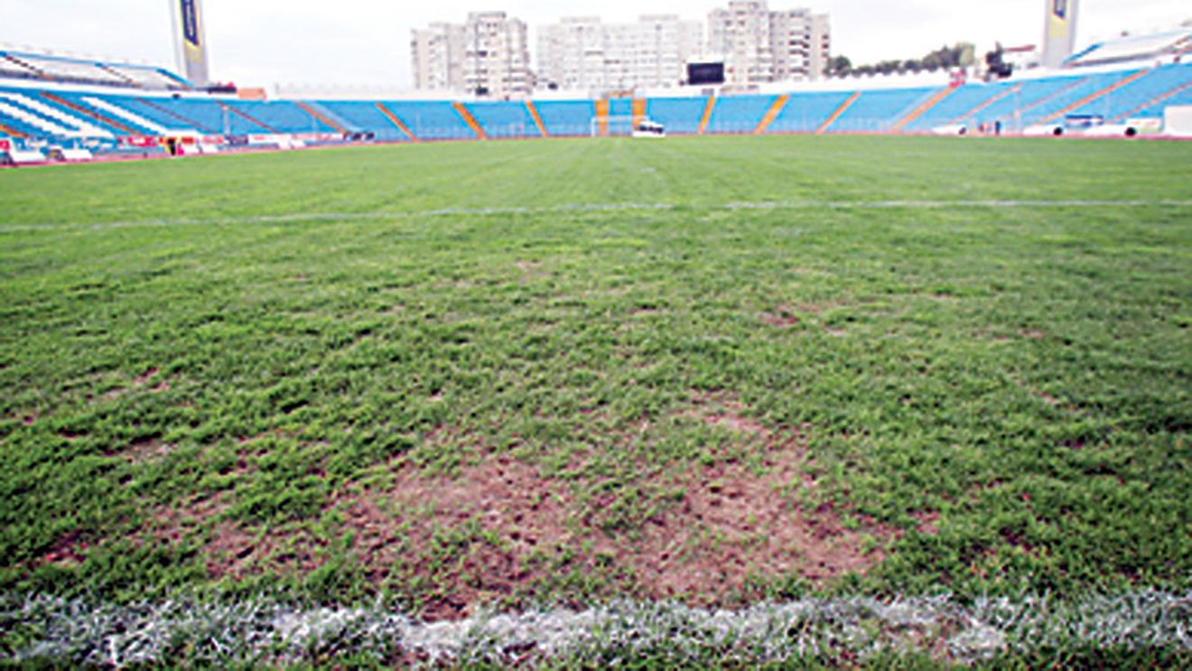 Mutu și Chivu: „Ă‚sta e terenul pe care vom juca cu Franța?!"