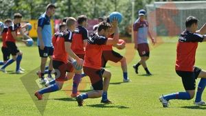 "Steaua are jucători compatibili pentru sistemul 4-2-3-1!" Mesaj pentru frații Costea