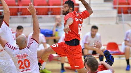 Clasamentul în Liga Zimbrilor la handbal masculin, la sfârșitul sezonului regulat 2016-2017 și în play-out. Ultimele meciuri și rezultatele complete