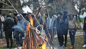 GALERIE FOTO! "Lupii" Petrolului la pomana porcului. Străinii lui Contra nu au vrut să guste din șorici!