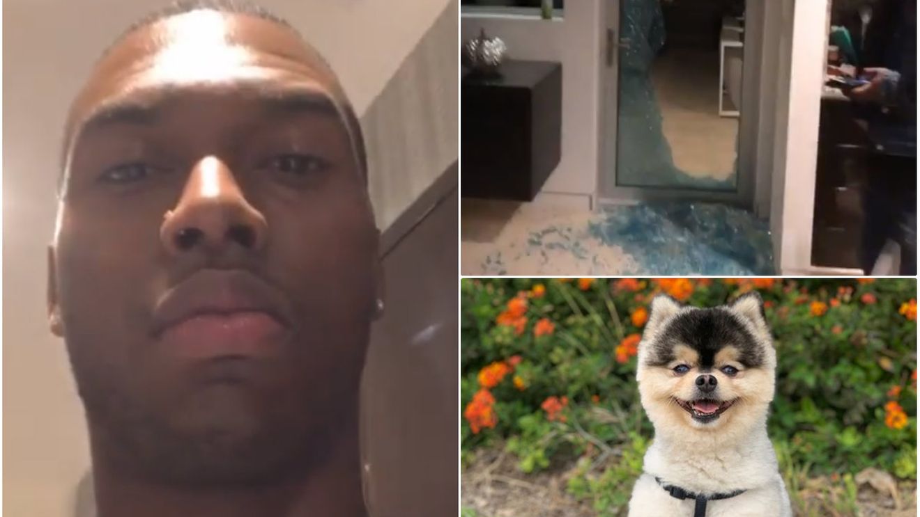 Daniel Sturridge e devastat! VIDEO | Hoții i-au spart pentahouse-ul din Los Angeles și i-au furat câinele. Atacantul le oferă o recompensă pentru a-l aduce înapoi: "Vă voi plăti pentru câine. Nu-l vindeți altcuiva"