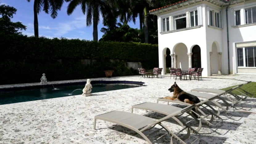Cel mai bogat câine din lume îşi vinde conacul din Miami. Câţi bani va încasa patrupedul