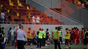 Noul val a înecat complexul: Dinamo - Vaslui 2-0