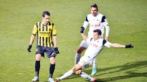 Madeira a revenit la antrenamente