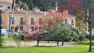 Steliștii au primit azi la antrenament cel mai frumos cadou din partea lui Reghecampf. FOTO Cum au fost răsplătiți jucătorii după primele două meciuri amicale
