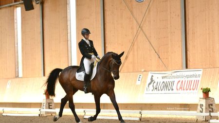 TIMP LIBER | Pentru pasionații de echitație. La clubul Equestria are loc cel mai important concurs de dresaj. Intrarea e liberă 