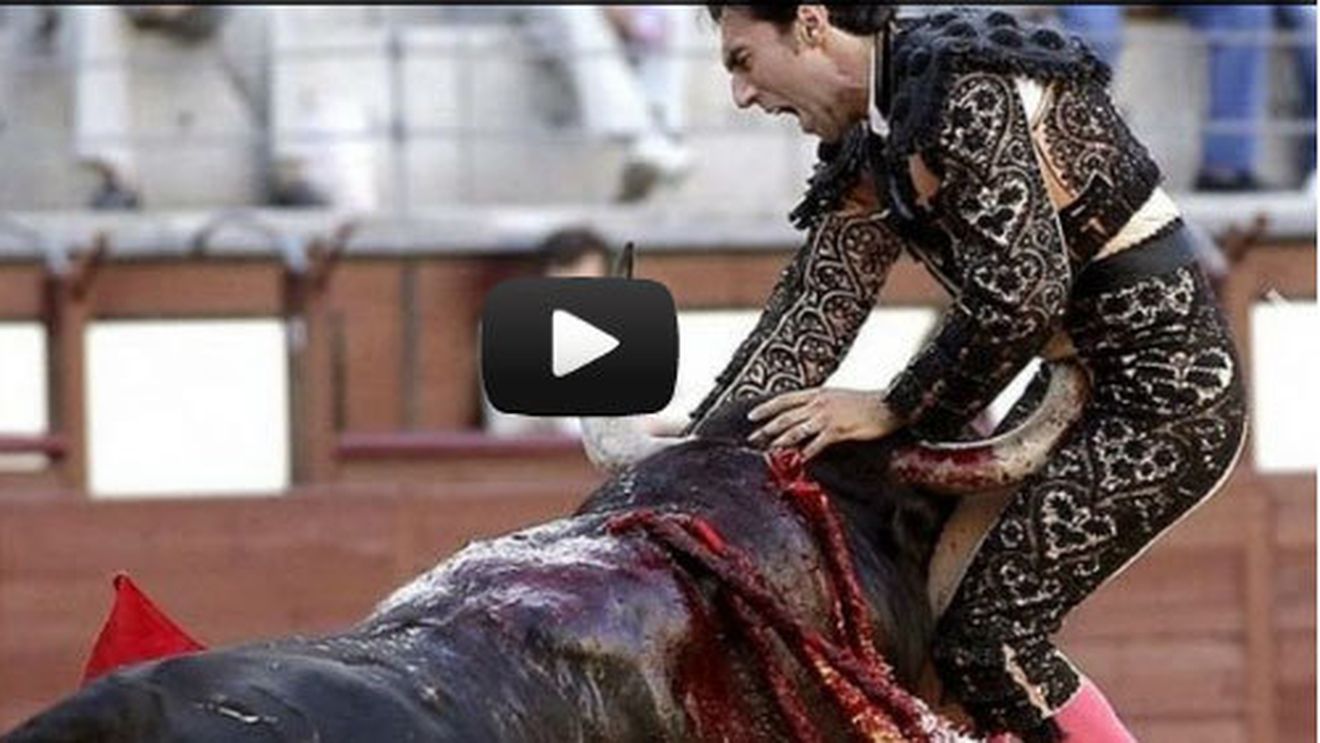 IMAGINI ȘOCANTE!** Mii de oameni au văzut LIVE scenele astea și au fost îngroziți! Motivul pentru care coridele ar trebui interzise