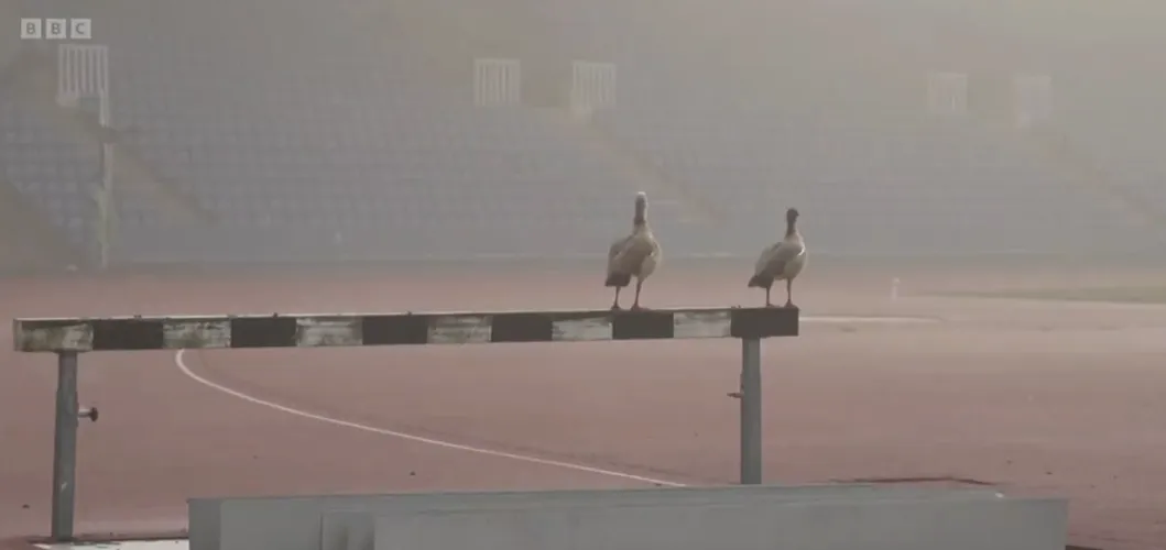 Stadionul, abandonat după 110 ani de când a găzduit finala Cupei. Arată ca după Cernobîl: șobolanii și vulpile au distru