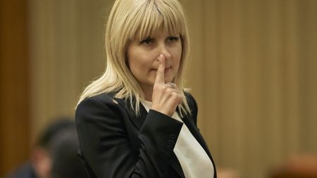 Elena Udrea, apărată în cazul ”Galei Bute” de un candidat la prezidențiale: ”E nedrept!”