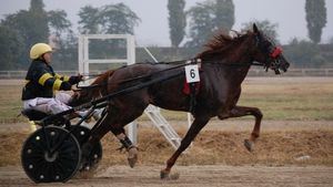 Un nou "Derbi de trap" pe Hipodromul Ploiești