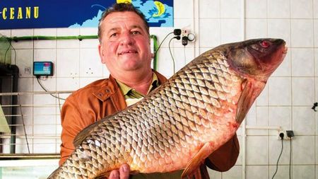 Șicane pe axa Galați - Timișoara! Vezi cine sunt crapul Iancu și păpușica "Mariusică"